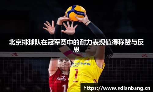 大满贯官方